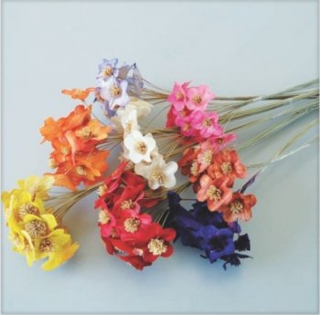 Mini flor de Palha no Espeta Nariz Decor mç com 10 flores